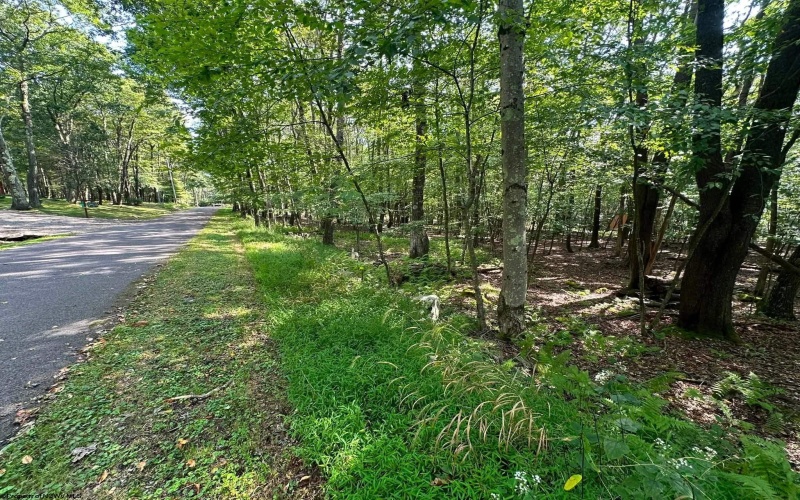 51 Beebalm Court, Terra Alta, West Virginia 26764, 0 , 0 ,0,Lots/land,For Sale,Beebalm,0,10166864