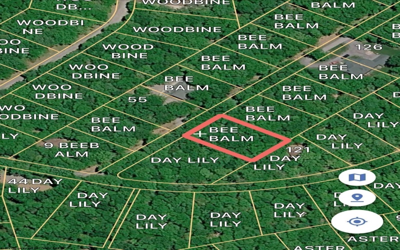 51 Beebalm Court, Terra Alta, West Virginia 26764, 0 , 0 ,0,Lots/land,For Sale,Beebalm,0,10166864