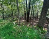 51 Beebalm Court, Terra Alta, West Virginia 26764, 0 , 0 ,0,Lots/land,For Sale,Beebalm,0,10166864