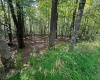 51 Beebalm Court, Terra Alta, West Virginia 26764, 0 , 0 ,0,Lots/land,For Sale,Beebalm,0,10166864
