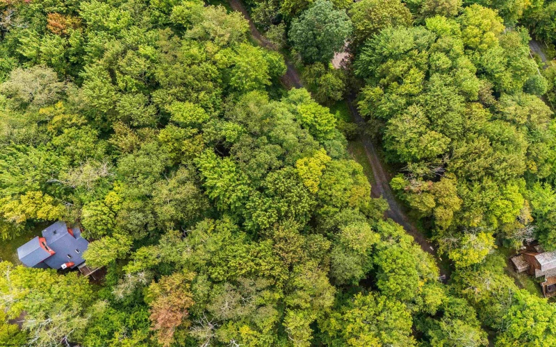 112 Hikers Challenge Road, Davis, West Virginia 26260, 0 , 0 ,0,Lots/land,For Sale,Hikers Challenge,0,10166895