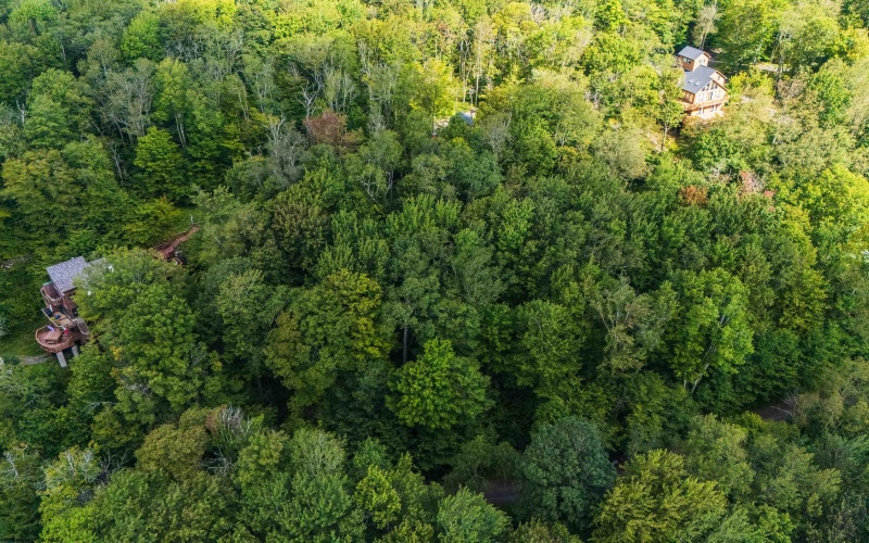 112 Hikers Challenge Road, Davis, West Virginia 26260, 0 , 0 ,0,Lots/land,For Sale,Hikers Challenge,0,10166895