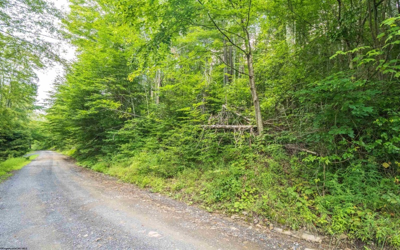 112 Hikers Challenge Road, Davis, West Virginia 26260, 0 , 0 ,0,Lots/land,For Sale,Hikers Challenge,0,10166895