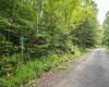 112 Hikers Challenge Road, Davis, West Virginia 26260, 0 , 0 ,0,Lots/land,For Sale,Hikers Challenge,0,10166895