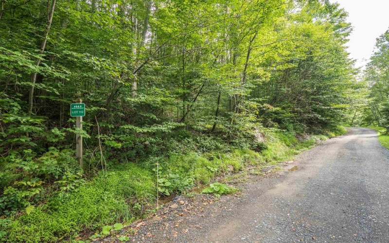 112 Hikers Challenge Road, Davis, West Virginia 26260, 0 , 0 ,0,Lots/land,For Sale,Hikers Challenge,0,10166895