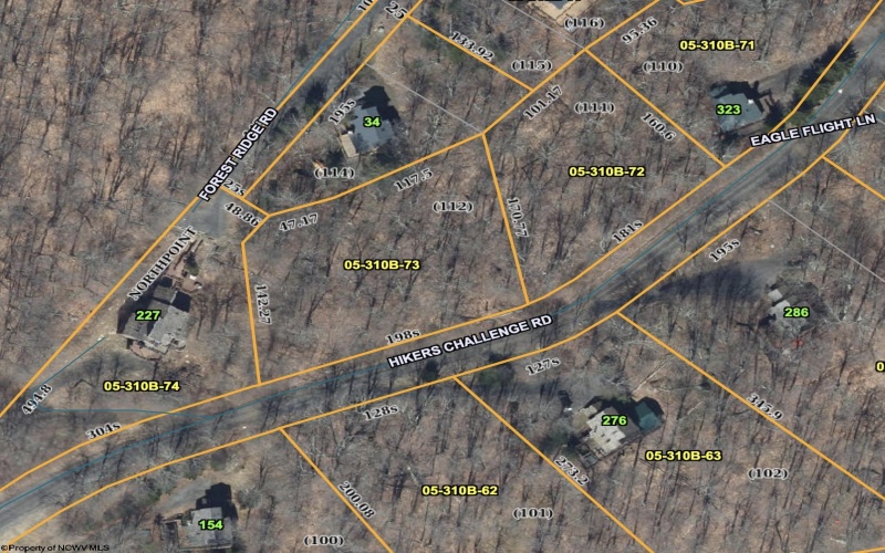 112 Hikers Challenge Road, Davis, West Virginia 26260, 0 , 0 ,0,Lots/land,For Sale,Hikers Challenge,0,10166895
