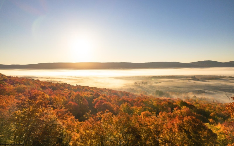 112 Hikers Challenge Road, Davis, West Virginia 26260, 0 , 0 ,0,Lots/land,For Sale,Hikers Challenge,0,10166895