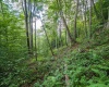 112 Hikers Challenge Road, Davis, West Virginia 26260, 0 , 0 ,0,Lots/land,For Sale,Hikers Challenge,0,10166895