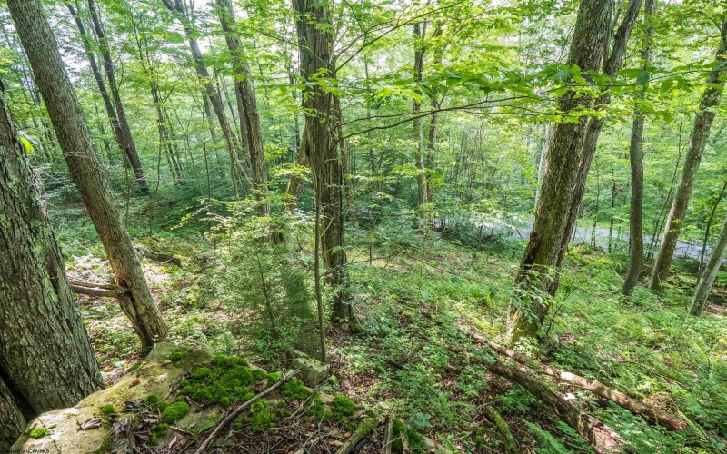 112 Hikers Challenge Road, Davis, West Virginia 26260, 0 , 0 ,0,Lots/land,For Sale,Hikers Challenge,0,10166895