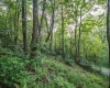 112 Hikers Challenge Road, Davis, West Virginia 26260, 0 , 0 ,0,Lots/land,For Sale,Hikers Challenge,0,10166895