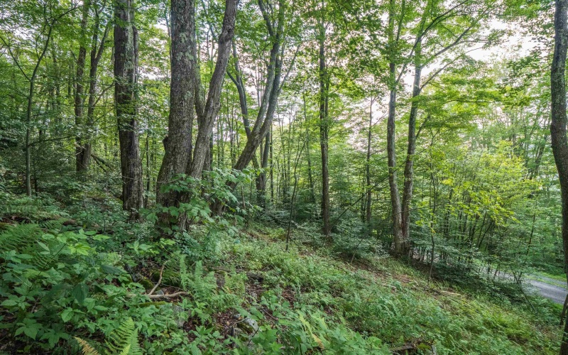 112 Hikers Challenge Road, Davis, West Virginia 26260, 0 , 0 ,0,Lots/land,For Sale,Hikers Challenge,0,10166895