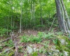 112 Hikers Challenge Road, Davis, West Virginia 26260, 0 , 0 ,0,Lots/land,For Sale,Hikers Challenge,0,10166895
