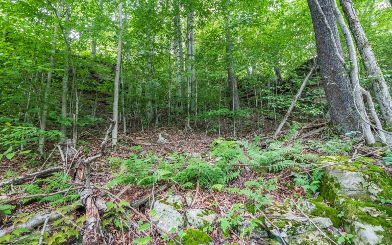 112 Hikers Challenge Road, Davis, West Virginia 26260, 0 , 0 ,0,Lots/land,For Sale,Hikers Challenge,0,10166895