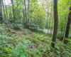 112 Hikers Challenge Road, Davis, West Virginia 26260, 0 , 0 ,0,Lots/land,For Sale,Hikers Challenge,0,10166895