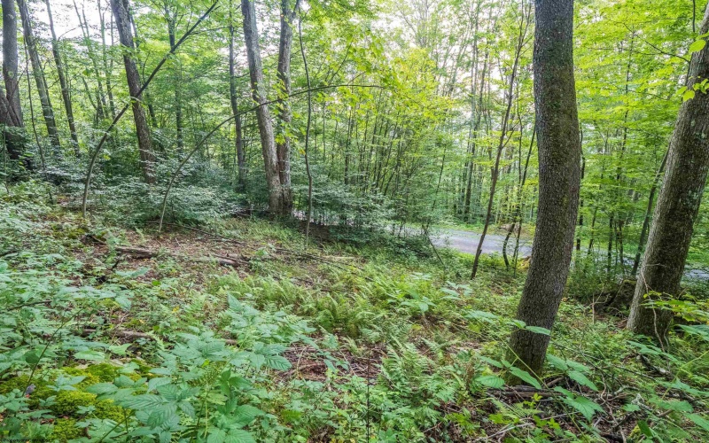 112 Hikers Challenge Road, Davis, West Virginia 26260, 0 , 0 ,0,Lots/land,For Sale,Hikers Challenge,0,10166895