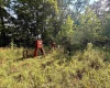 TBD Elderberry Road, Coxs Mill, West Virginia 26349, 0 , 0 ,0,Lots/land,For Sale,Elderberry,0,10166877
