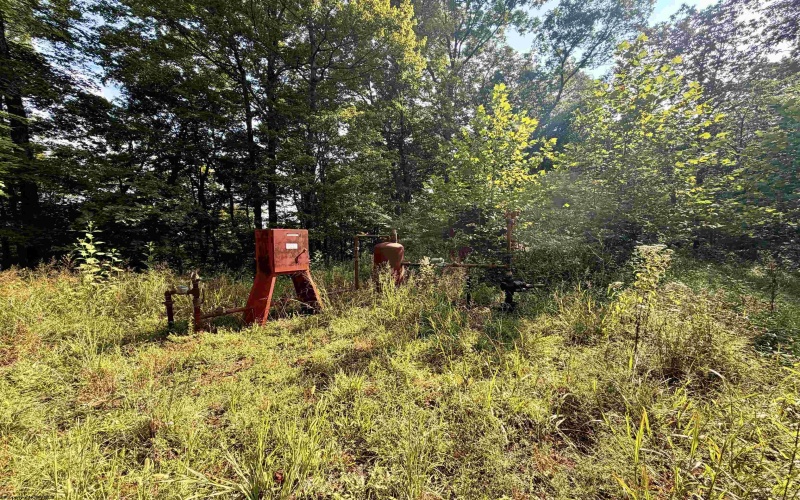 TBD Elderberry Road, Coxs Mill, West Virginia 26349, 0 , 0 ,0,Lots/land,For Sale,Elderberry,0,10166877