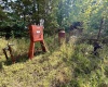 TBD Elderberry Road, Coxs Mill, West Virginia 26349, 0 , 0 ,0,Lots/land,For Sale,Elderberry,0,10166877