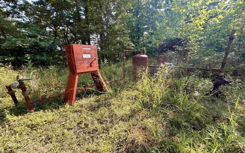 TBD Elderberry Road, Coxs Mill, West Virginia 26349, 0 , 0 ,0,Lots/land,For Sale,Elderberry,0,10166877