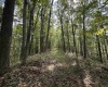 TBD Elderberry Road, Coxs Mill, West Virginia 26349, 0 , 0 ,0,Lots/land,For Sale,Elderberry,0,10166877
