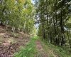 TBD Elderberry Road, Coxs Mill, West Virginia 26349, 0 , 0 ,0,Lots/land,For Sale,Elderberry,0,10166877