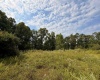 TBD Elderberry Road, Coxs Mill, West Virginia 26349, 0 , 0 ,0,Lots/land,For Sale,Elderberry,0,10166877