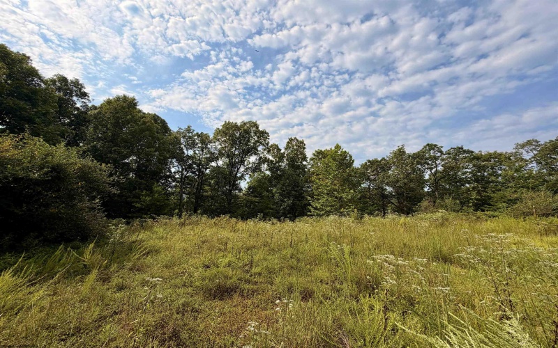 TBD Elderberry Road, Coxs Mill, West Virginia 26349, 0 , 0 ,0,Lots/land,For Sale,Elderberry,0,10166877