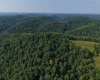 TBD Elderberry Road, Coxs Mill, West Virginia 26349, 0 , 0 ,0,Lots/land,For Sale,Elderberry,0,10166877
