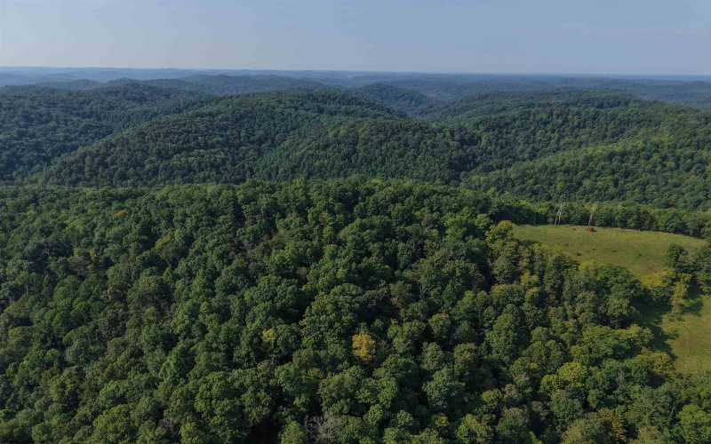 TBD Elderberry Road, Coxs Mill, West Virginia 26349, 0 , 0 ,0,Lots/land,For Sale,Elderberry,0,10166877