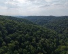 TBD Elderberry Road, Coxs Mill, West Virginia 26349, 0 , 0 ,0,Lots/land,For Sale,Elderberry,0,10166877