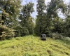 TBD Elderberry Road, Coxs Mill, West Virginia 26349, 0 , 0 ,0,Lots/land,For Sale,Elderberry,0,10166877
