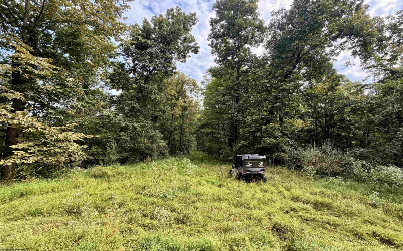 TBD Elderberry Road, Coxs Mill, West Virginia 26349, 0 , 0 ,0,Lots/land,For Sale,Elderberry,0,10166877
