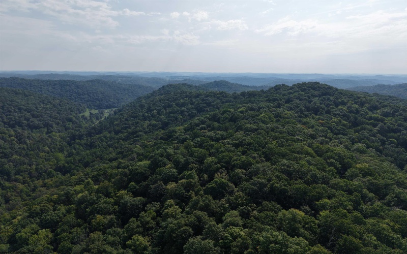 TBD Elderberry Road, Coxs Mill, West Virginia 26349, 0 , 0 ,0,Lots/land,For Sale,Elderberry,0,10166877