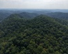 TBD Elderberry Road, Coxs Mill, West Virginia 26349, 0 , 0 ,0,Lots/land,For Sale,Elderberry,0,10166877