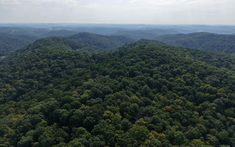 TBD Elderberry Road, Coxs Mill, West Virginia 26349, 0 , 0 ,0,Lots/land,For Sale,Elderberry,0,10166877