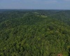 TBD Elderberry Road, Coxs Mill, West Virginia 26349, 0 , 0 ,0,Lots/land,For Sale,Elderberry,0,10166877