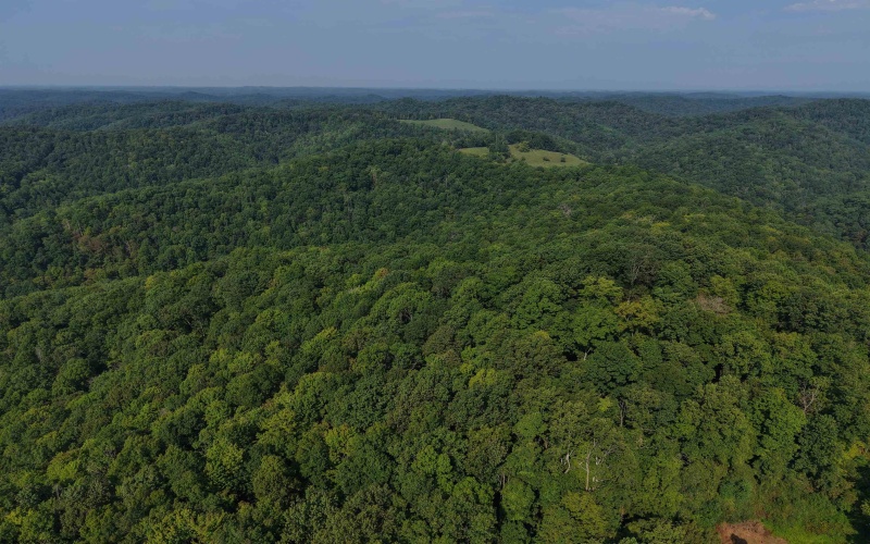TBD Elderberry Road, Coxs Mill, West Virginia 26349, 0 , 0 ,0,Lots/land,For Sale,Elderberry,0,10166877