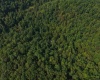 TBD Elderberry Road, Coxs Mill, West Virginia 26349, 0 , 0 ,0,Lots/land,For Sale,Elderberry,0,10166877