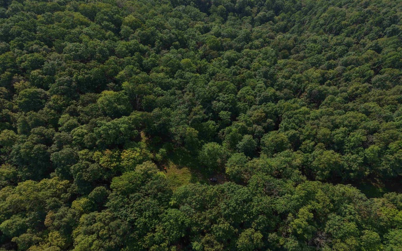 TBD Elderberry Road, Coxs Mill, West Virginia 26349, 0 , 0 ,0,Lots/land,For Sale,Elderberry,0,10166877