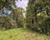 TBD Elderberry Road, Coxs Mill, West Virginia 26349, 0 , 0 ,0,Lots/land,For Sale,Elderberry,0,10166877