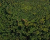 TBD Elderberry Road, Coxs Mill, West Virginia 26349, 0 , 0 ,0,Lots/land,For Sale,Elderberry,0,10166877