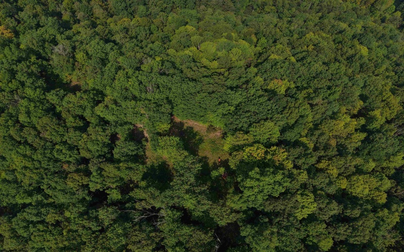 TBD Elderberry Road, Coxs Mill, West Virginia 26349, 0 , 0 ,0,Lots/land,For Sale,Elderberry,0,10166877