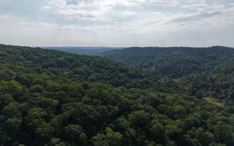 TBD Elderberry Road, Coxs Mill, West Virginia 26349, 0 , 0 ,0,Lots/land,For Sale,Elderberry,0,10166877