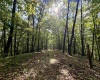 TBD Elderberry Road, Coxs Mill, West Virginia 26349, 0 , 0 ,0,Lots/land,For Sale,Elderberry,0,10166877