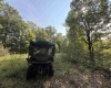 TBD Elderberry Road, Coxs Mill, West Virginia 26349, 0 , 0 ,0,Lots/land,For Sale,Elderberry,0,10166877