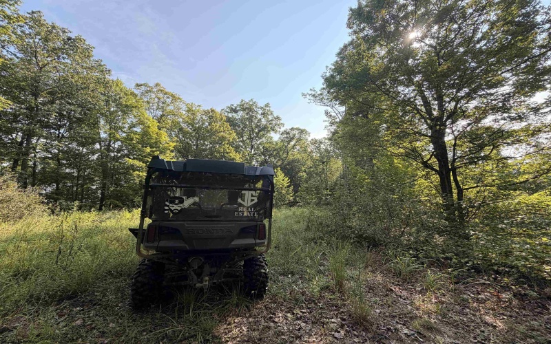 TBD Elderberry Road, Coxs Mill, West Virginia 26349, 0 , 0 ,0,Lots/land,For Sale,Elderberry,0,10166877