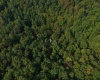 TBD Elderberry Road, Coxs Mill, West Virginia 26349, 0 , 0 ,0,Lots/land,For Sale,Elderberry,0,10166877