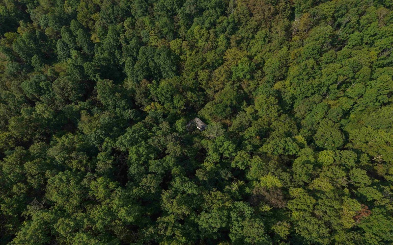 TBD Elderberry Road, Coxs Mill, West Virginia 26349, 0 , 0 ,0,Lots/land,For Sale,Elderberry,0,10166877