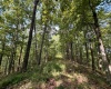 TBD Elderberry Road, Coxs Mill, West Virginia 26349, 0 , 0 ,0,Lots/land,For Sale,Elderberry,0,10166877