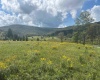 38 Waterfront Drive, Davis, West Virginia 26260, 0 , 0 ,0,Lots/land,For Sale,Waterfront,0,10166879